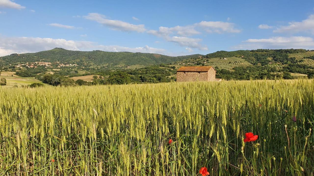 Vacanze Sant Andrea Paciano Buitenkant foto