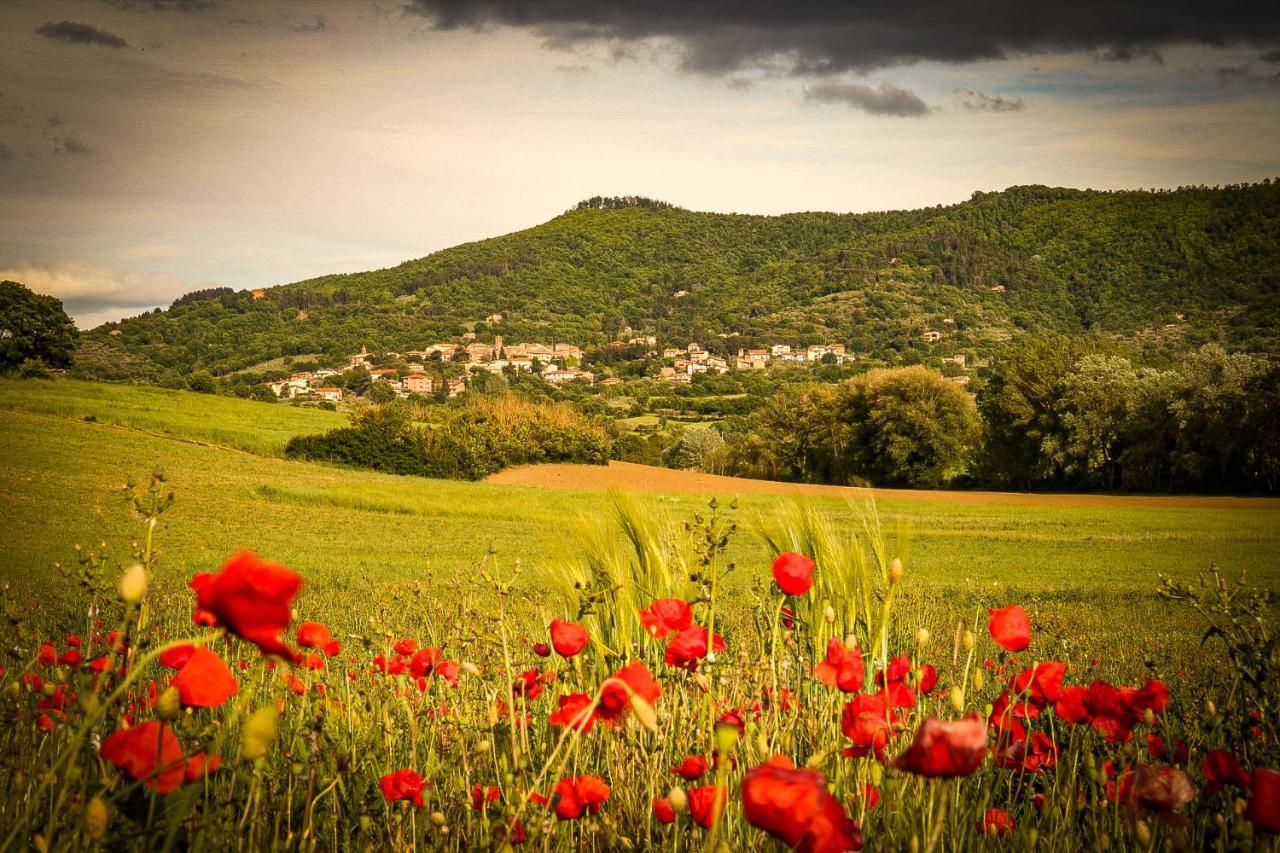 Vacanze Sant Andrea Paciano Buitenkant foto