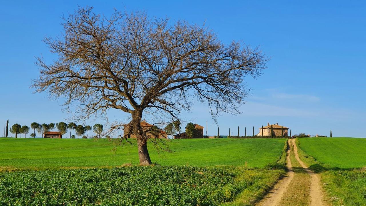 Vacanze Sant Andrea Paciano Buitenkant foto